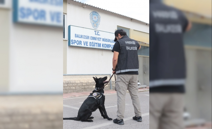 Balıkesir Polisi İki Ayrı Noktada Yaptığı Operasyonlarda Uyuşturucu Ele Geçirdi