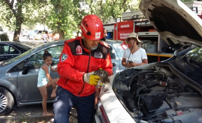 Burhaniye ilçesinde, Otomobilin motoruna sıkışan kedi yavrusunu itfaiye çıkardı. Yara