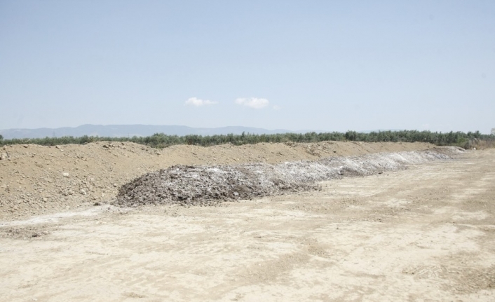 Orhangazi’de Çeltikçi Altındaki Tarım Alanlarının Bulunduğu Ovada Dökülen Tavuk Gübreleri