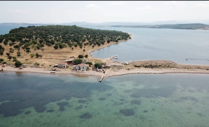  Balıkesir’in Ayvalık Ve Gömeç İlçesi Açıklarında Bulunan 265 Bin
