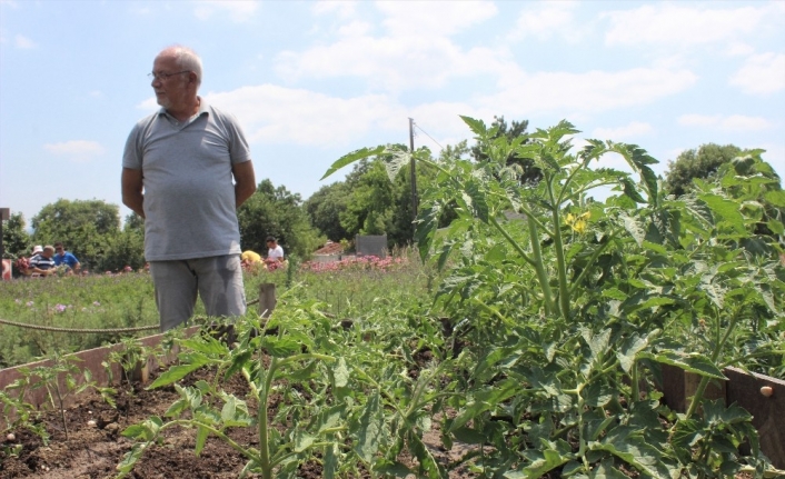  Dünyanın Farklı Ülkelerinde Yetişen Sebzeleri Bursa'da Yeştirmeyi Başardılar