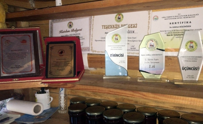 Kanat Yapısı Ve Uçuş Stili İle Arılar Arasında ‘yeni Irk’