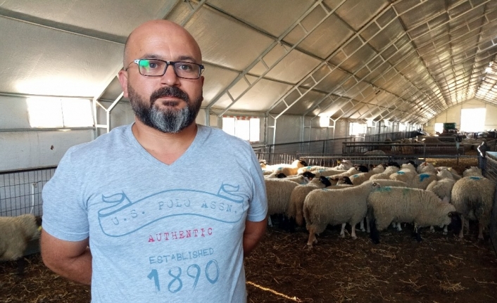 Türkiye’ye Gelen Koçlar 5 Bin, Koyunlar İse 3 Bin Avrodan