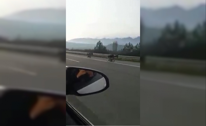 Bursa’da motosikletin üzerine yatarak yarış yapan iki sürücü, yürekleri ağza
