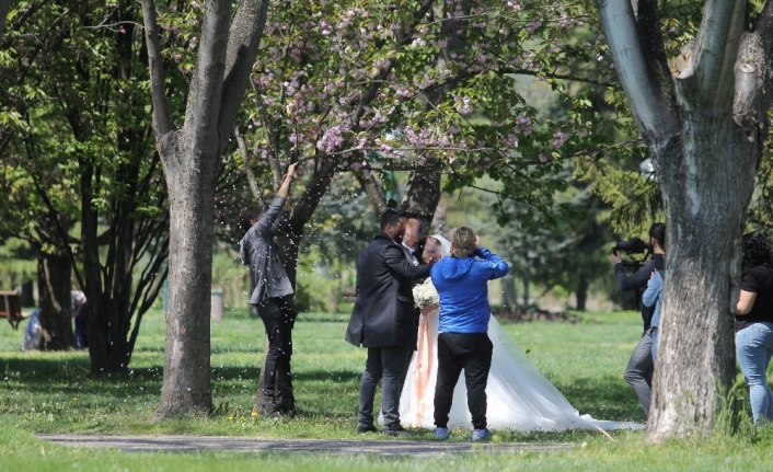Düğün mevsiminin açılmasıyla birlikte fotoğraf çekilmek isteyenler Botanik Park’a akın