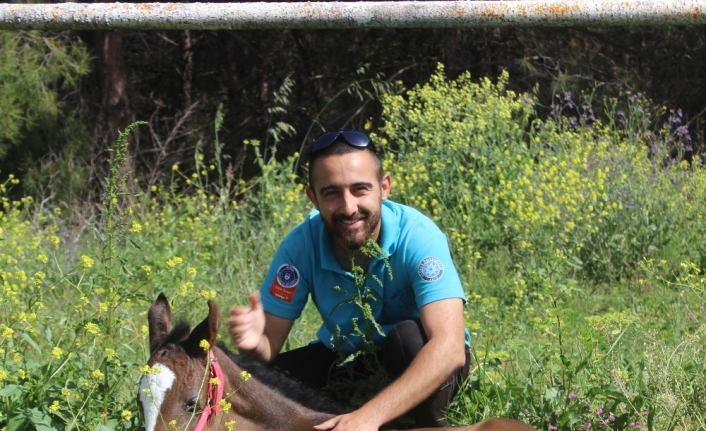 Bursa Uludağ Üniversitesi’nin ilk yarış tayı dünyaya geldi.Mennan Pasinli Atıcılık