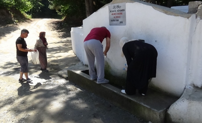  Çanakkale’nin Yenice İlçesi Kalkım Beldesinde 83 Yaşındaki Hasibe Nine