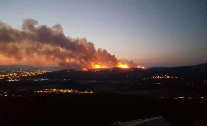  Bursa’nın Mudanya İlçesinde 2015'in Ağustos Ayında Çikan Orman Yangınında