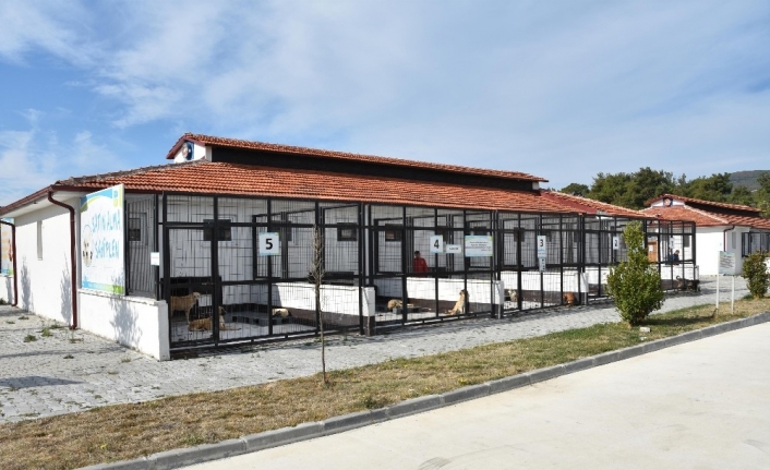 Balıkesir'in Bigadiç İlçesine Bağlı Çayüstü Kırsal Mahallesindeki Bir Çiftlikte 50'ye