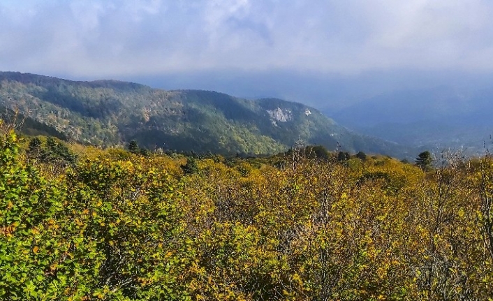  Balıkesir Ve Çanakkale İli Sınırlarında Kalan, Hava Kalitesiyle Dünyanın