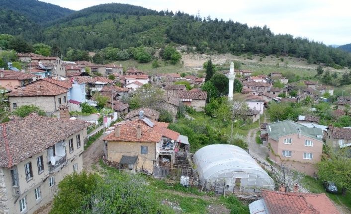 Bursa’da yapılan bir yanlış tespit yüzünden köyün tamamı tescilli yapı