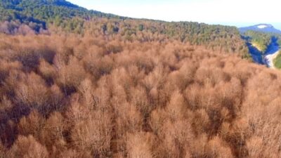  Bursa İnegöl İlçesi İle Kütahya'nın Domaniç İlçesi Arasındaki Onlarca