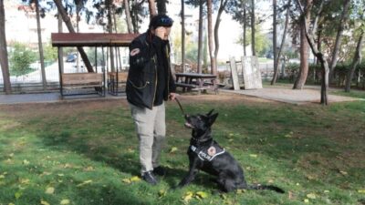  Şirnak’ta Başarılı Narkotik Operasyonlarla Adını Duyuran Dedektör Polis Köpeği