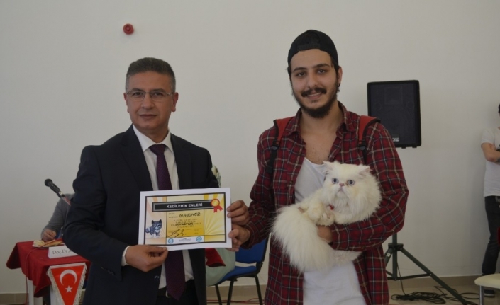 Balıkesir Üniversitesi Bahar Şenlikleri kapsamında tarihinde ilk kez Kedi Güzellik