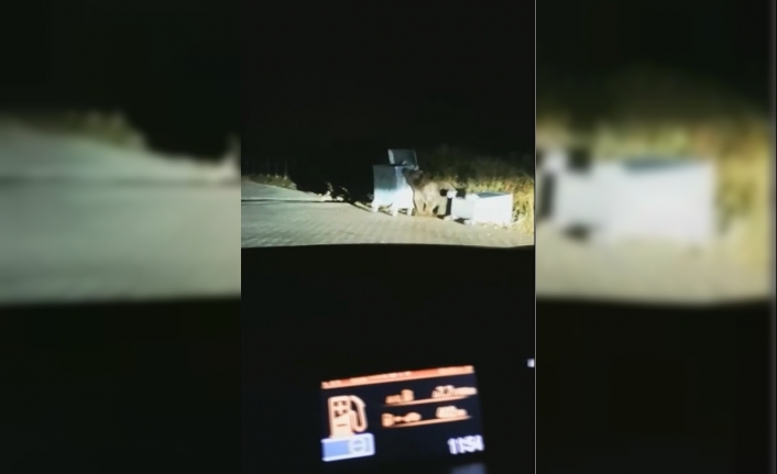  Kış Ve Doğa Turizminin Önemli Merkezlerinden Uludağ’da Kış Uykusuna