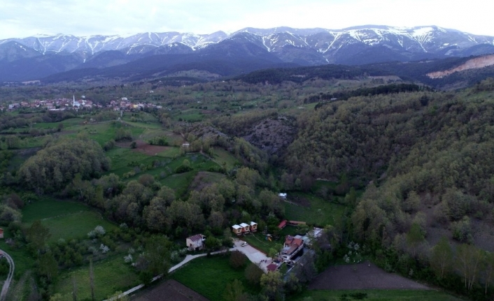 Bursa’da Uludağ’ın eteklerindeki Keles ilçesindeki bir çiftlikte vatandaşlar kendi tuttukları