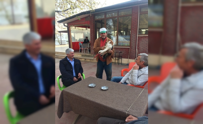 Bursa’nın İznik ilçesinde elektrik akımına kapılan leyleği bir çifti kurtardı.İznik’in