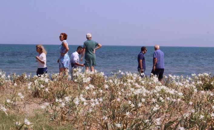 İzmir Urla’da Yaşayan Zorlular Ailesi, Evlerinin Önündeki Bir Dönümlük Alanda