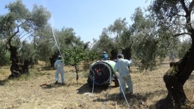  Balıkesir Büyükşehir Belediyesi, Edremit İlçe Gıda Tarım Ve Hayvancılık