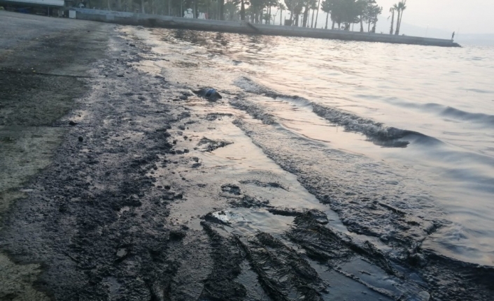  İzmir’in Aliağa İlçesinde, Bir Tesisten Sızdığı İddia Edilen Ve