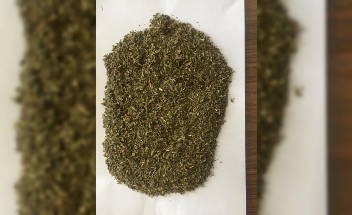 Bursa’nın Karacabey ilçesinde düzenlenen uyuşturucu operasyonunda 7 kişi yakalandı.Karacabey İlçe