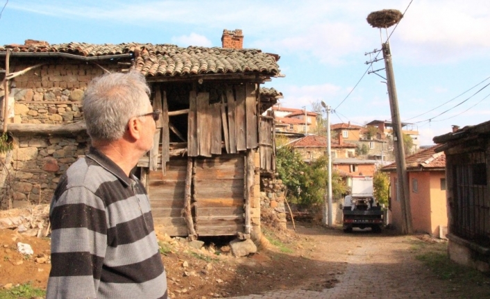  Prof. Dr. Leyleklere Zararlı İp Ve Misinaları Yuvalardan Temizledi