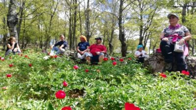 Balıkesir’in Edremit, Çanakkale’nin Ayvacık ve Yenice ilçeleri arasında yer alan