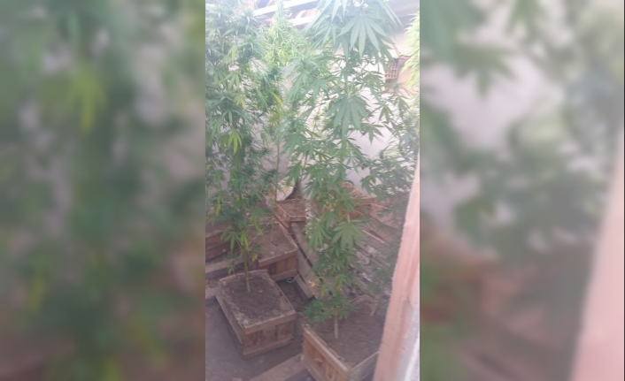 İzmir’in Menemen İlçesinde Jandarma Ekiplerinin Düzenlediği Operasyonda Bir Evin