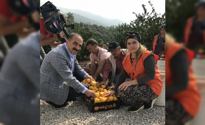  Türkiye’nin Geleneksel İhraç Ürünlerinden, C Vitamini Deposu, Grip Ve
