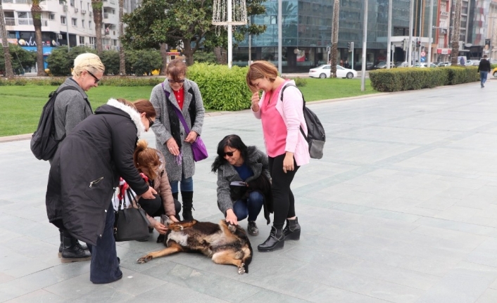 Masum Hayvanları Arama Kurtarma Derneği Üyesi Azize Mert, İzmir’in Seferihisar