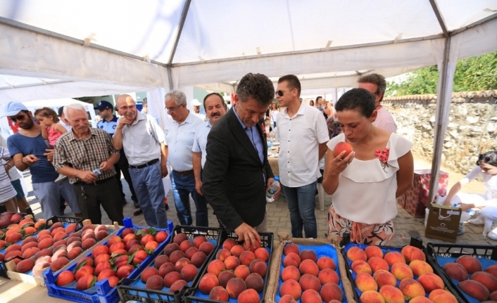  Üretici Kadınlarla Hasat Tarlasına Giden Selçuk Belediye Başkanı Filiz