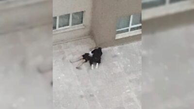 Bursa’da Kız Arkadaşını İttiği İddiasiyla Müebbet Hapis Cezası Talebiyle Yargılanan