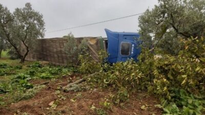  Bursa’nın İznik İlçesinde Cam Şişe Yüklü Tır Zeytin Bahçesine