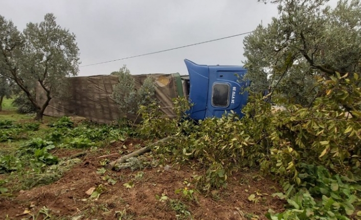  Bursa’nın İznik İlçesinde Cam Şişe Yüklü Tır Zeytin Bahçesine