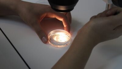 Ege Üniversitesi Tıp Fakültesi Kadın Hastalıkları ve Doğum Ana Bilim