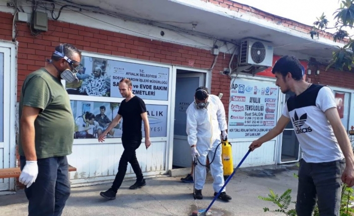  Sokak Hayvanlarından Yayılan Keneler Ayvalık Belediyesi Ekipleri Tarafından Temizlendi