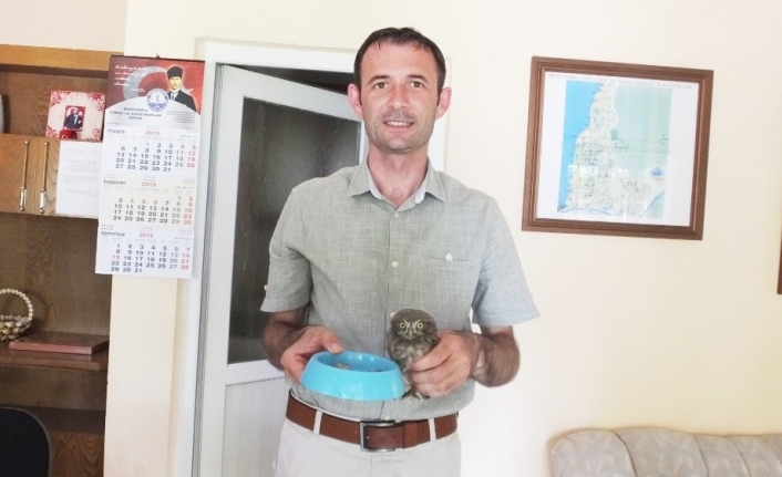  Muhtar İlker Kurt