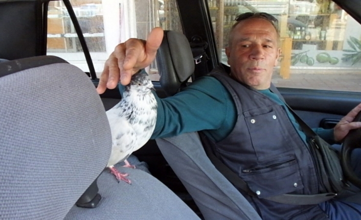 Balıkesir’in Burhaniye ilçesinde ikamet eden Ahmet ve Mine Pişkin çifti,