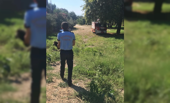  Balıkesir’in Edremit İlçesinde Sulama Kanalına Düşen Yavru Köpekleri İtfaiye