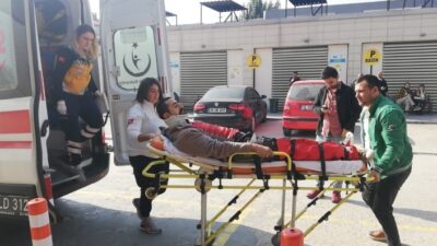  Bursa'nın İnegöl İlçesine Bağlı Mahmudiye Mahallesinde Bulunan Bir Orman