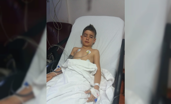 İzmir’in Kemalpaşa İlçesinde Girdikleri Süs Havuzunda Elektrik Akımına Kapılan İki