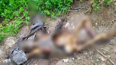 Bursa'nın Mustafakemalpaşa İlçesinde Bir Tarlada, 80 Yaşlarında Bir Erkek Cesedi