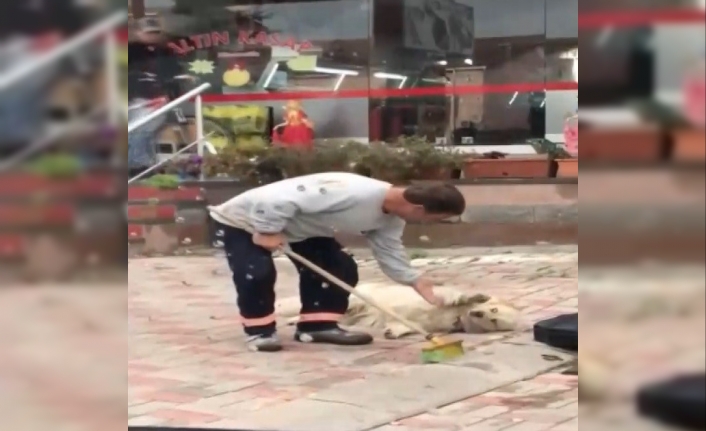  Çanakkale'nin Biga İlçesinde, Belediyede Görevli Bir Temizlik İşçisinin Sokakta