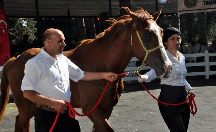  Tarım İşletmeleri Genel Müdürlüğüne (tigem) Bağlı Karacabey Tarım İşletmesi