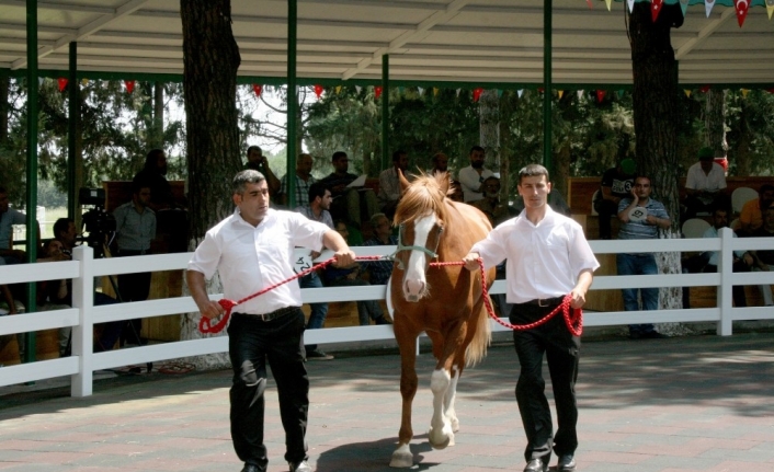  Tarım İşletmeleri Genel Müdürlüğüne (tigem) Bağlı Eskişehir'in Mahmudiye İlçesindeki
