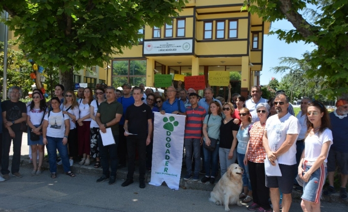 Doğayı ve Çevreyi Koruma Derneği (DOĞADER), Türkiye genelinde geyik veya