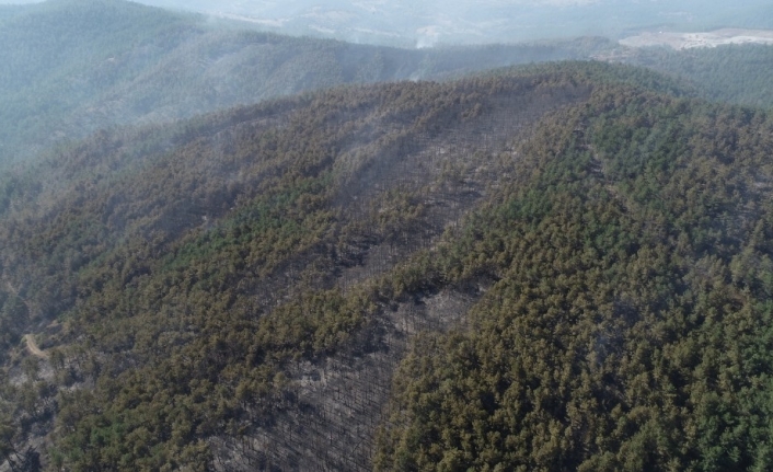 Bursa’da 3 Kilometrelik Alanda Çikan Ve Dün Kontrol Altına Alınan