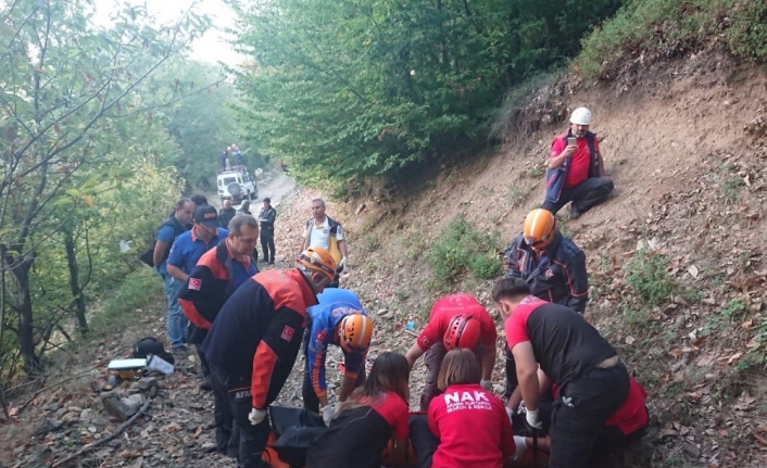  Uludağ’da Kestane Toplamak İçin Çiktiği Ağaçtan, Düşüp Uçuruma Yuvarlanan