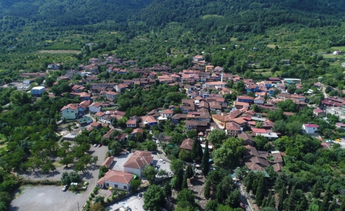  Unesco Bursa Alan Başkanı Prof. Dr. Neslihan Dostoğlu, “eğer
