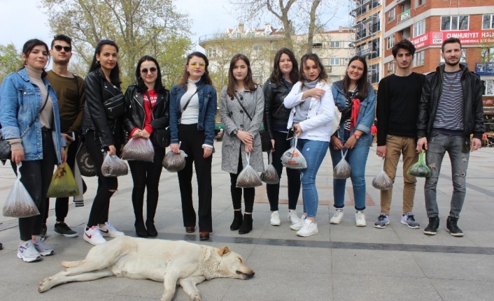 Balıkesir’in Bandırma ilçesinde Bandırma Onyedi Eylül Üniversitesi öğrencileri sokak hayvanlarına